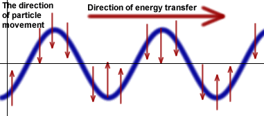 Transverse Wave